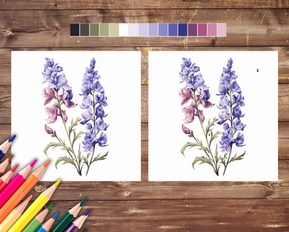 July Birth Flower Color by Number, Larkspur Paint By Number for Adult, Printable Coloring Pages Sheets, Digital Download, PDF&PNG