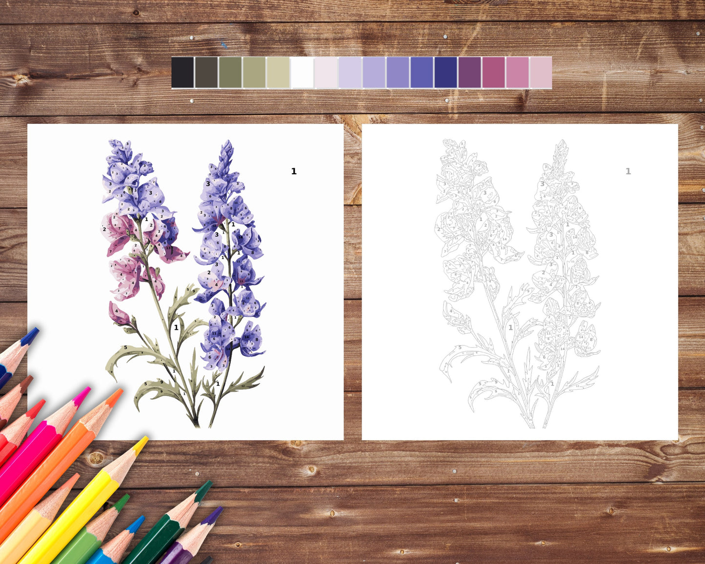 July Birth Flower Color by Number, Larkspur Paint By Number for Adult, Printable Coloring Pages Sheets, Digital Download, PDF&PNG