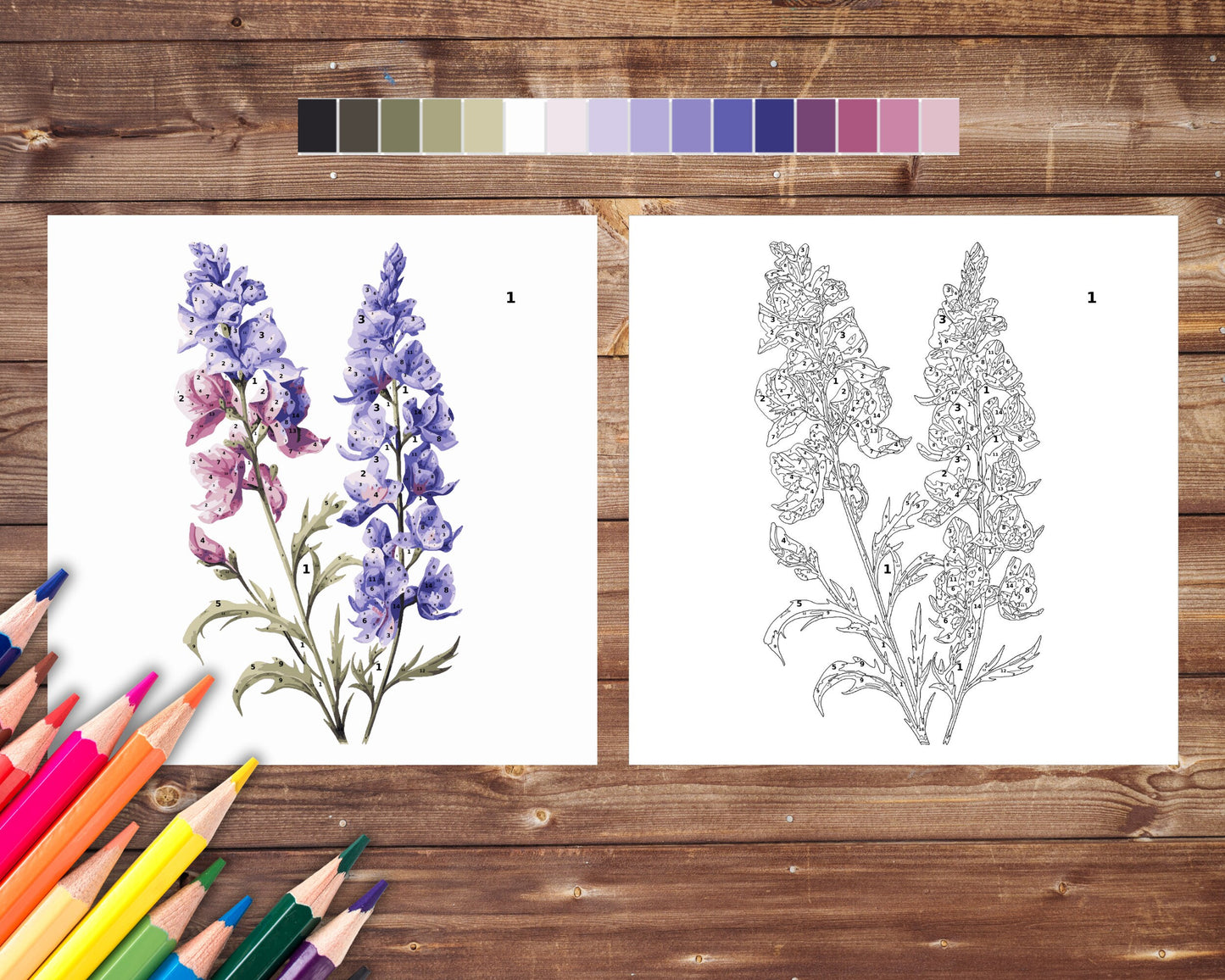 July Birth Flower Color by Number, Larkspur Paint By Number for Adult, Printable Coloring Pages Sheets, Digital Download, PDF&PNG