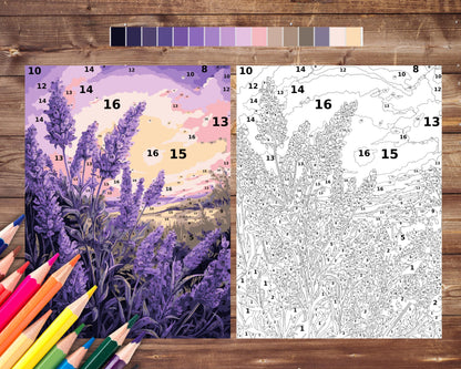 Color By Number for Adult, Lavender Paint by Number, Flower Printable Coloring Pages Sheets, Digital Download, PDF, PNG, SVG