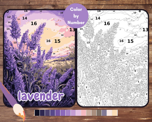 Color By Number for Adult, Lavender Paint by Number, Flower Printable Coloring Pages Sheets, Digital Download, PDF, PNG, SVG