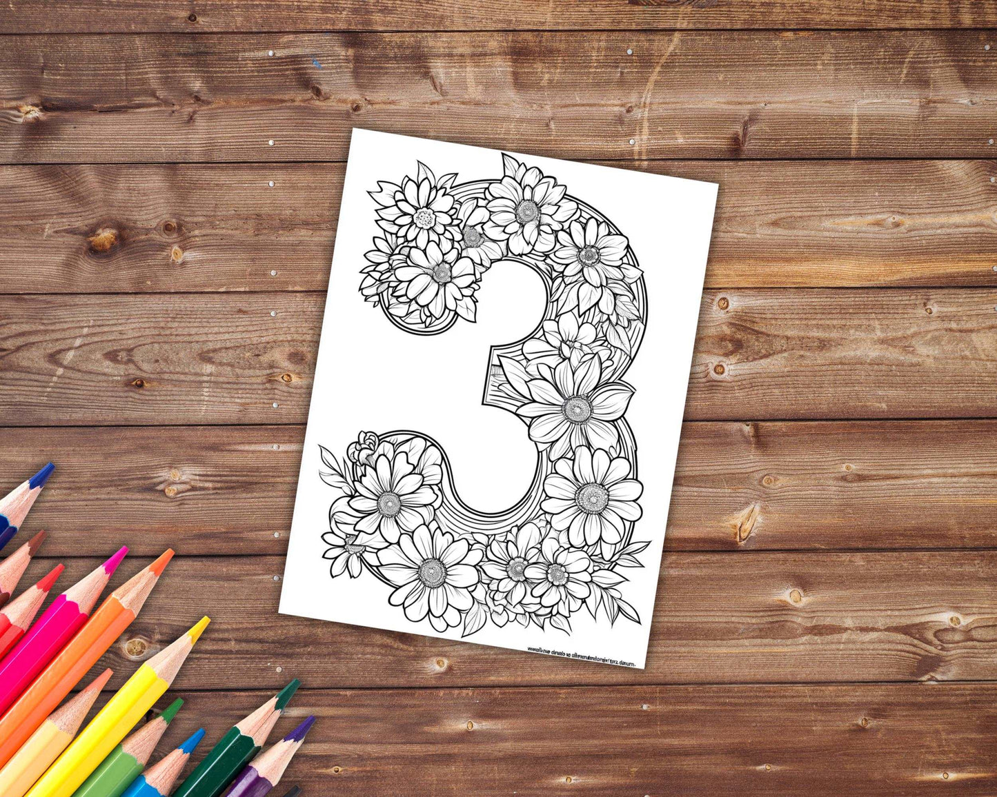 30 Numbers Coloring Book, Grayscale Numbers Coloring Pages for Adults, Numbers with Flowers, Printable PDF, Instant Download