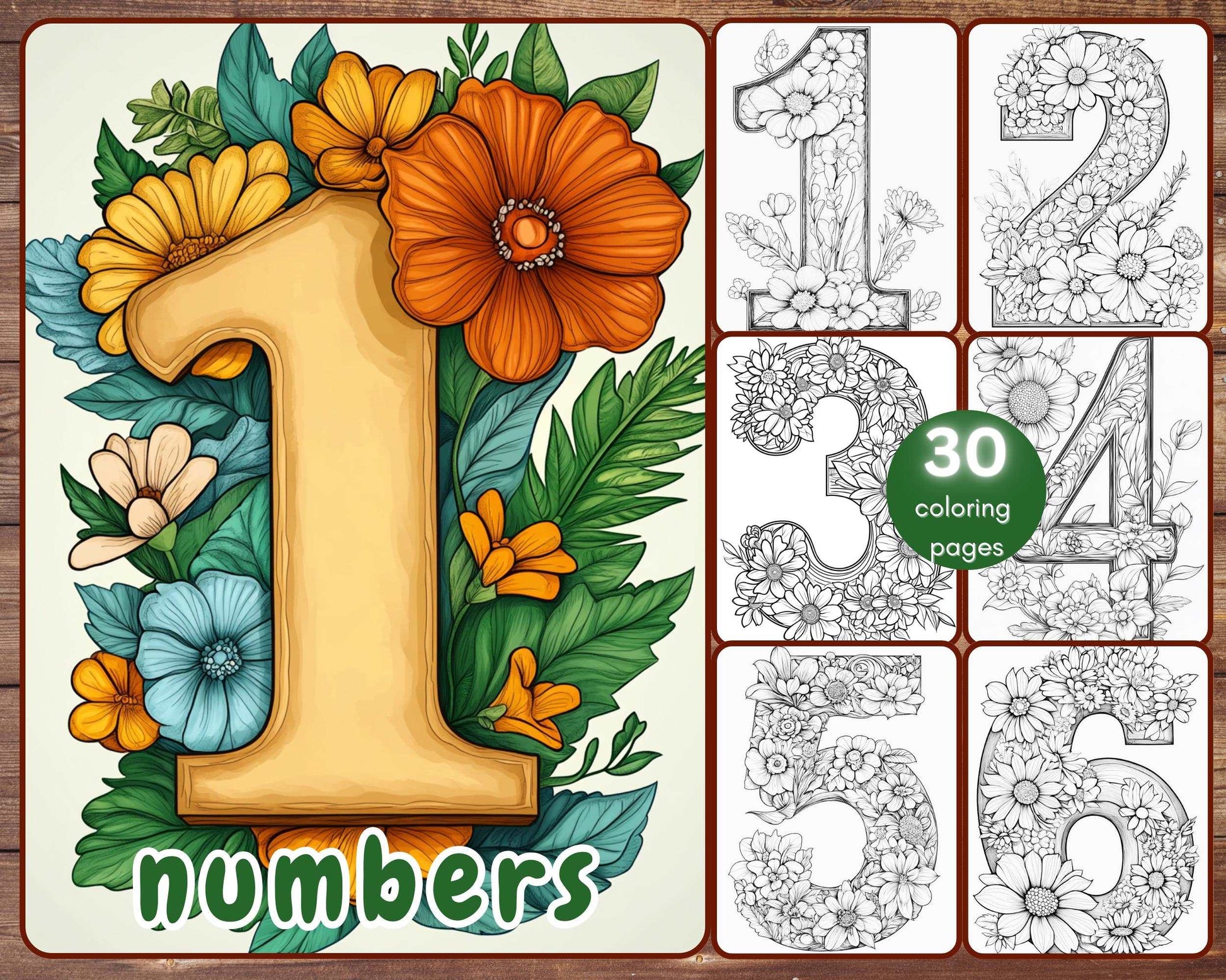 30 Numbers Coloring Book, Grayscale Numbers Coloring Pages for Adults, Numbers with Flowers, Printable PDF, Instant Download