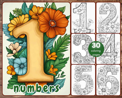 30 Numbers Coloring Book, Grayscale Numbers Coloring Pages for Adults, Numbers with Flowers, Printable PDF, Instant Download