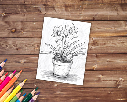 33 Daffodil Coloring Book, Grayscale Flowers Coloring Pages for Adults and Kids, Bouquet, Floral, Spring, Printable PDF