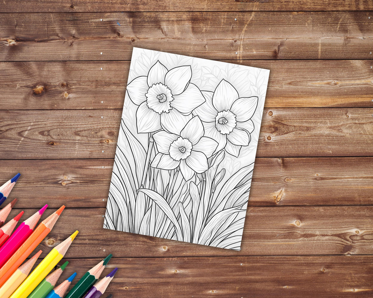 33 Daffodil Coloring Book, Grayscale Flowers Coloring Pages for Adults and Kids, Bouquet, Floral, Spring, Printable PDF