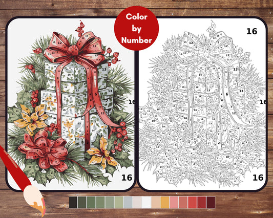 Color By Number for Adult, Christmas Gift Paint by Number, Printable Coloring Pages Sheets, Digital Download, PDF, PNG, SVG