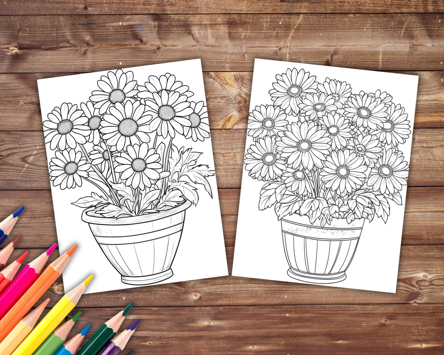 Daisy Coloring Book, Digital Download