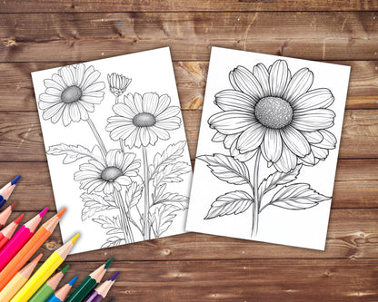 Daisy Coloring Book, Digital Download