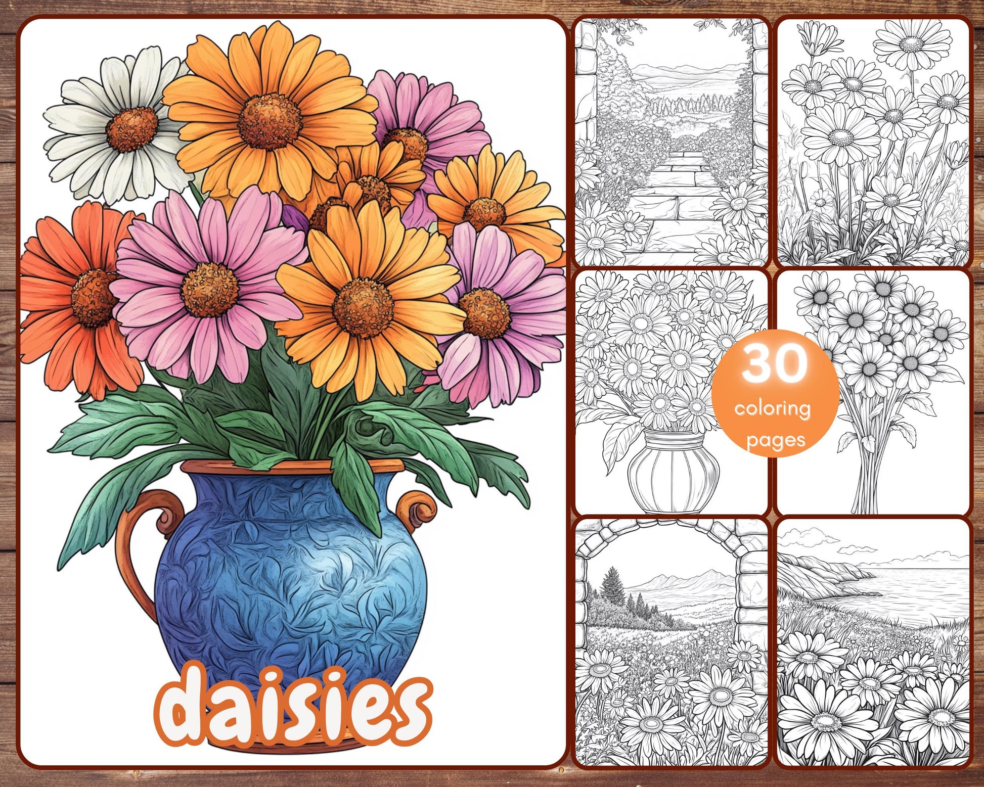 daisy coloring book