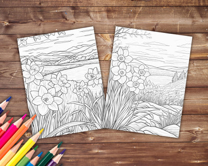 33 Daffodil Coloring Book, Grayscale Flowers Coloring Pages for Adults and Kids, Bouquet, Floral, Spring, Printable PDF